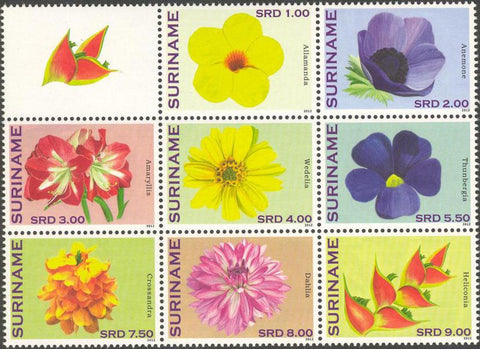 Suriname2012-4