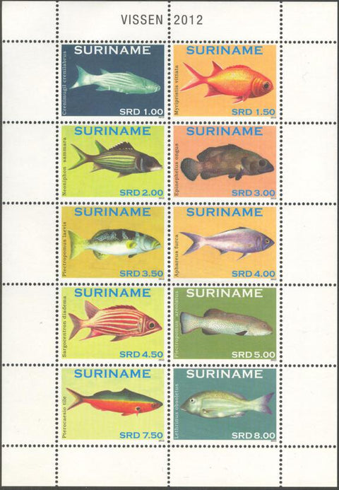 Suriname2012-6