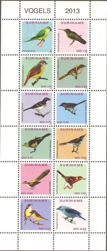 Suriname2013-2