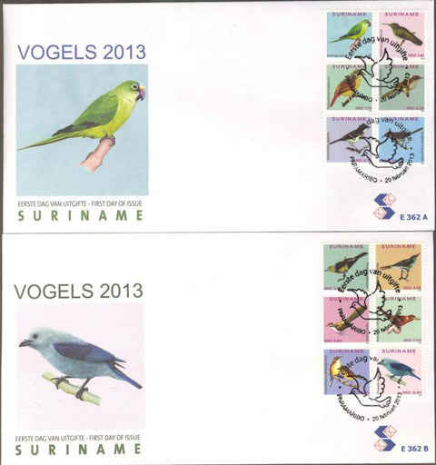 Suriname2013-2E362ab