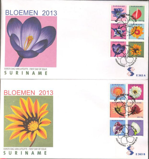 Suriname2013-3E363ab