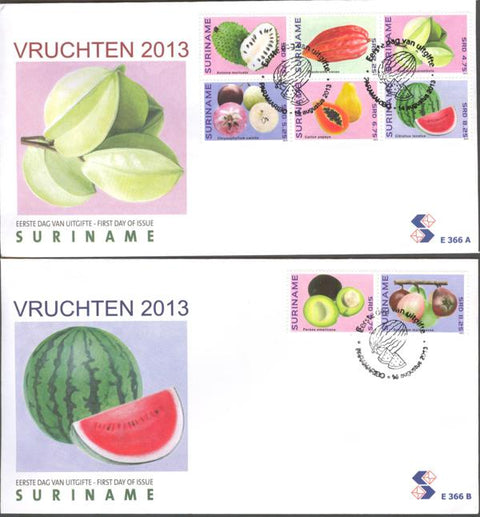 Suriname2013-6E366ab