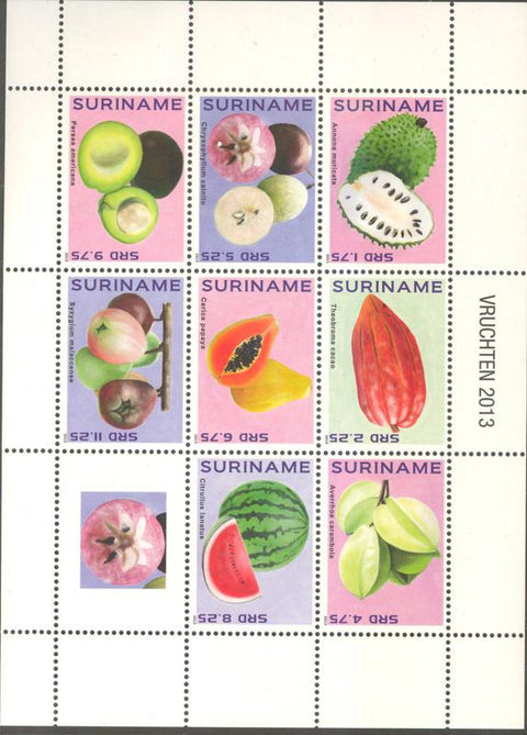 Suriname2013-6