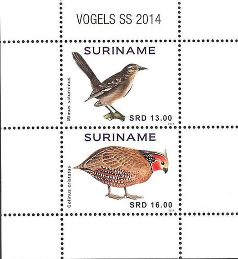 Suriname2014_12
