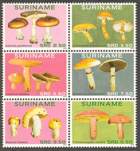 Suriname2014-1