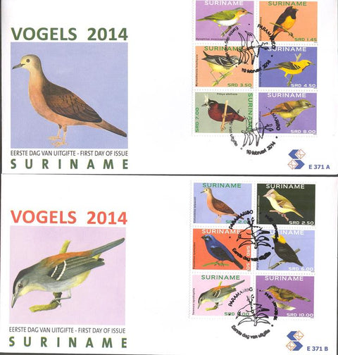 Suriname2014-2E371ab