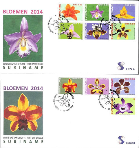 Suriname2014-3E372ab