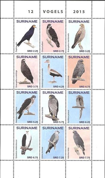 Suriname2015-3