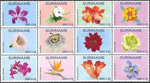 Suriname2015-6