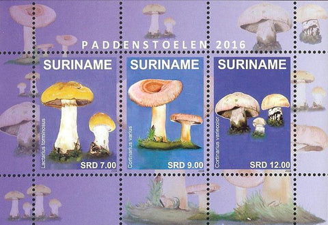 Suriname2016-1