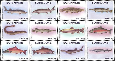 Suriname2016-4
