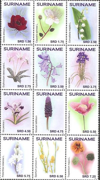 Suriname2016-6