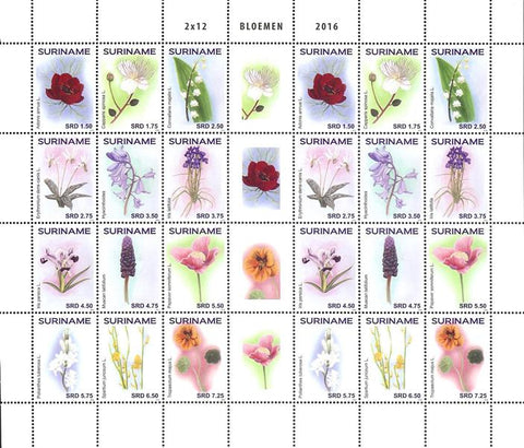 Suriname2016-6ms