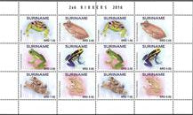 Suriname2016-9MS