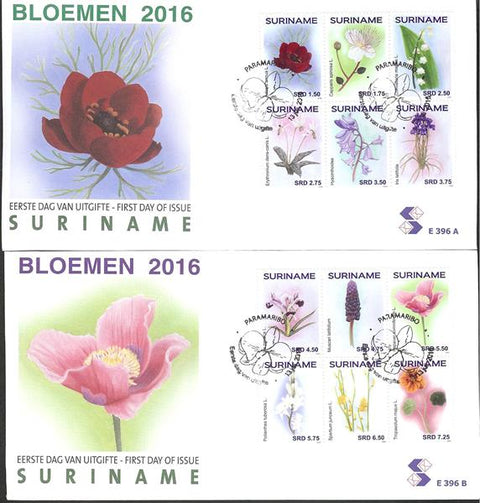 Suriname2016-6E396ab