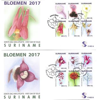 Suriname2017-02E403ab