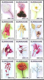 Suriname2017-02