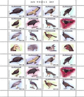 Suriname2017-03ms