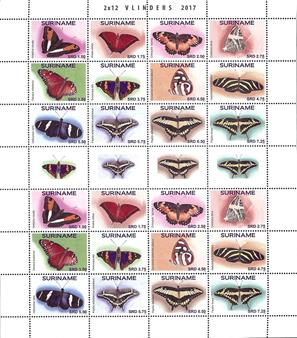 suriname2017-06ms