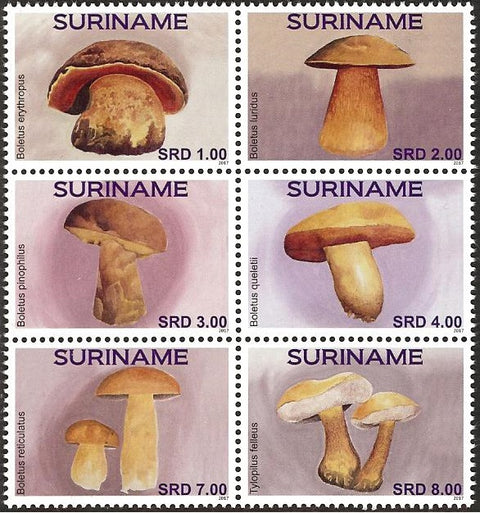 Suriname2017-07