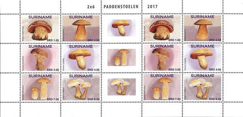 suriname2017-07ms