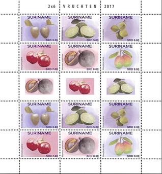 suriname2017-10ms