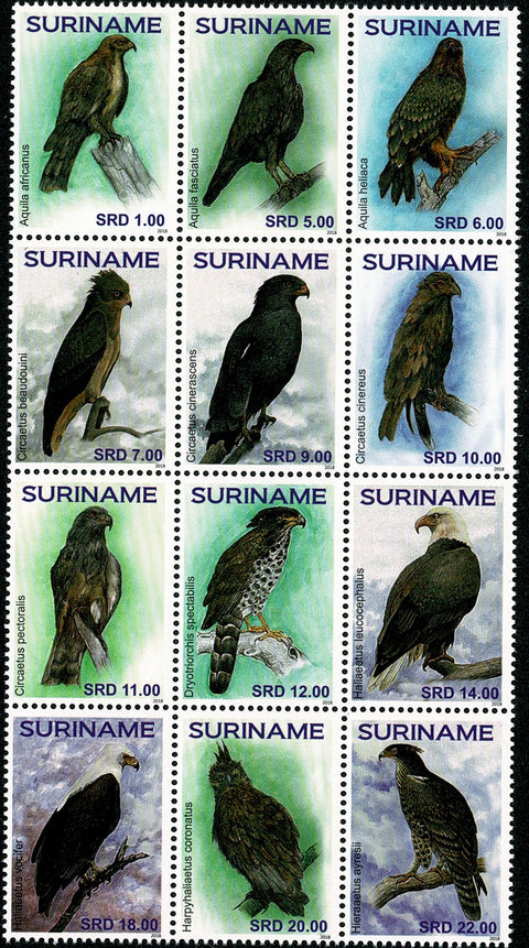 Suriname2018 Roofvogels (2287/98)