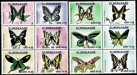 Suriname2018 Vlinders (2249/60)