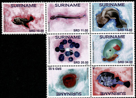 Suriname2018 Zeeleven (2261/67)