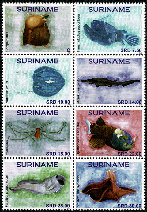 Suriname2019 Zeeleven (2341/48)