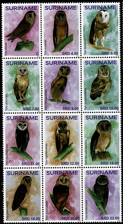 Suriname2019 Uilen (2341/48)