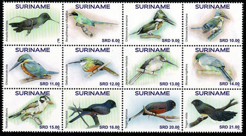 Suriname2020 Vogels (2477/88)