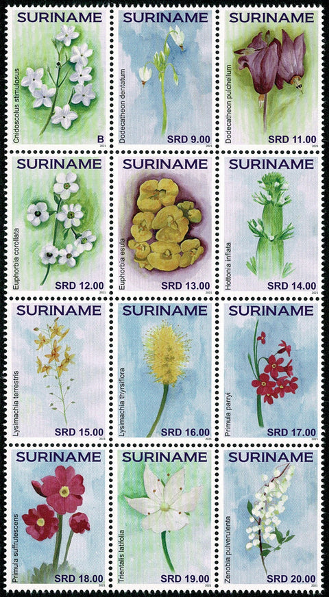 Suriname2021 Bloemen (3316/27)