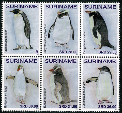Suriname2021 Pinguins (3328/33)