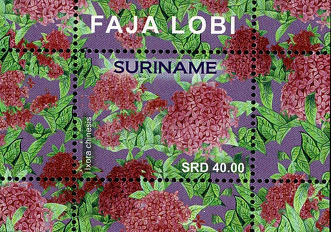 Suriname2021 Faja Lobi (3340)