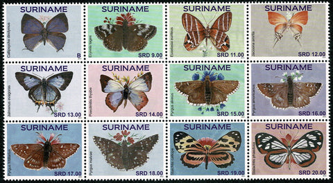 Suriname2021 Vlinders (3341-52)