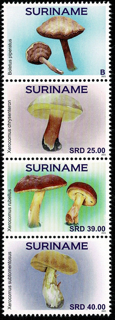 Suriname2021 Paddenstoelen (3353-56)