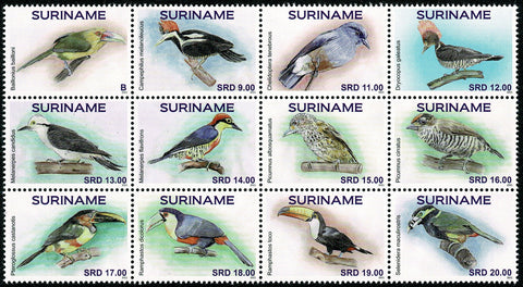 Suriname2021 Vogels (3357-68)