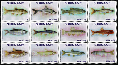 Suriname2021 Vissen (3381-3392)
