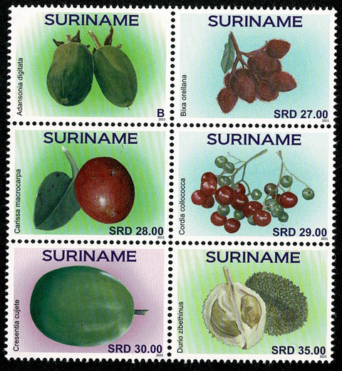 Suriname2021 Fruit (3393-3398)